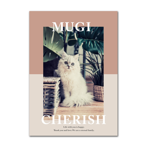 海外雑誌の表紙風☆ペットお写真でおしゃれな可愛いアート作品を 
