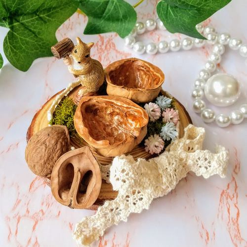 くるみの小物入れ くるみ殻の小物入れ アクセサリーケース その他ケース TAMIAS