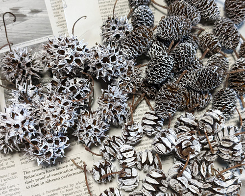 クリスマス花材 色付け木の実 3種セット その他素材 Fine 通販