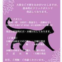 ウール＊カシミヤ☆ねこちゃんのポーチ：Refined（22-009) 15枚目の画像