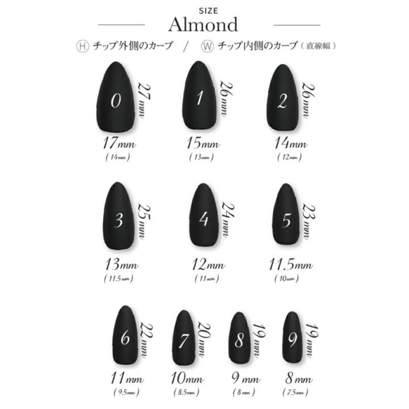 【個別注文】埋め込みシェル×4個 10枚目の画像