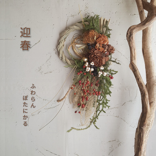 フォルモーサとケイトウのクリスマスお正月しめ縄 フォルモーサとケイトウのクリスマスお正月しめ縄