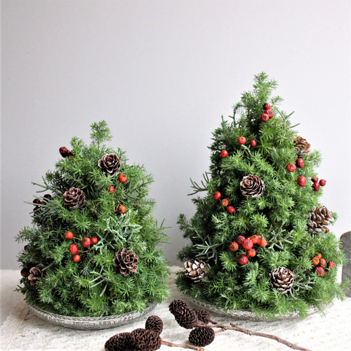 赤いクリスマスツリー ミルクティー❣️ くまちゃんのツリーで囲まれててかわいかった🐻ྀི❤️ ⁡ テラスだから