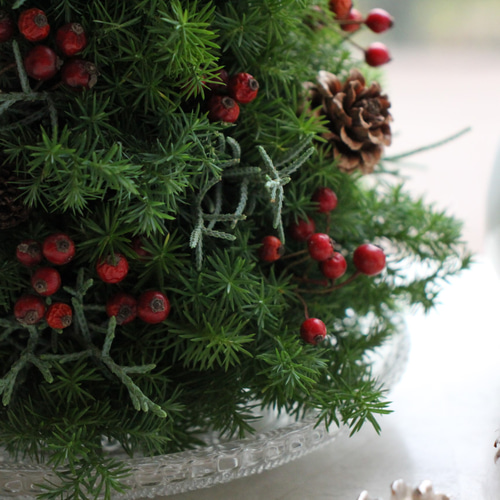 予約販売】『クリスマス限定』赤い実のフレッシュクリスマスツリー＊L