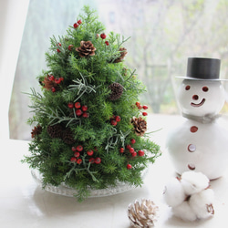 予約販売】『クリスマス限定』赤い実のフレッシュクリスマスツリー＊L