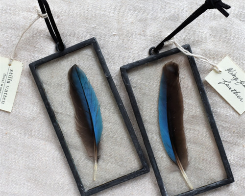 under glass] カワセミ 5×10 ブラック ハーバリウム・植物標本 stilla