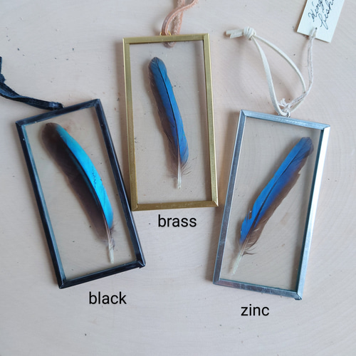 under glass] カワセミ 5×10 ブラック ハーバリウム・植物標本 stilla