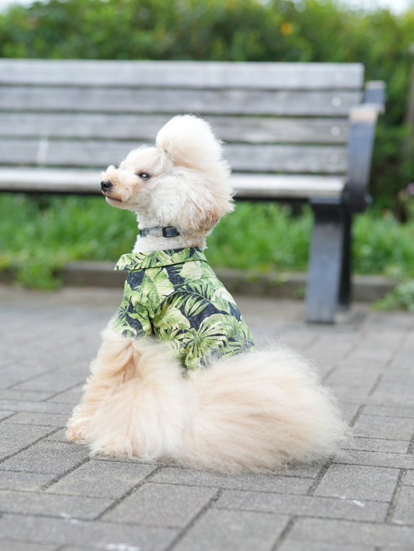 ワンちゃんとお揃いコーデ　アロハシャツ　リーフ柄　犬服 10枚目の画像