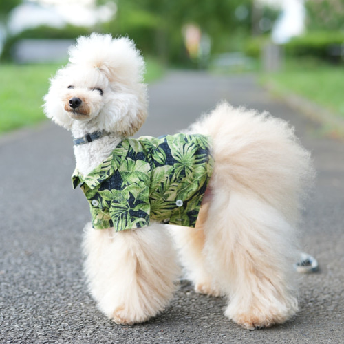 No.27 ハンドメイド犬服 アロハシャツワンピース No.27 ハンドメイド犬服 アロハシャツワンピース