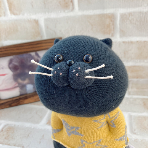 ⭐︎メリークリスマス⭐︎ サンタになった黒猫 ぬいぐるみ ぬいぐるみ