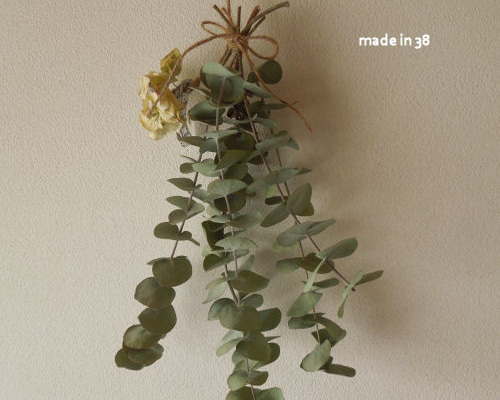 neko10. パンパスと香り銀葉ユーカリのスワッグ51cm［376