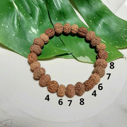 7969229641e213bd32eea1319a20ee