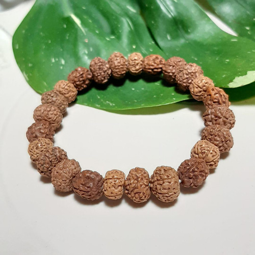 ルドラクシャ 4ムキ 6ムキ 7ムキ 8ムキ 菩提樹の実 ブレスレット