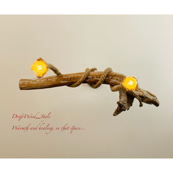 流木インテリア 木の根が美しい天然流木のシーリングライト ペンダントライト LED ランプ 照明器具 北欧 9枚目の画像