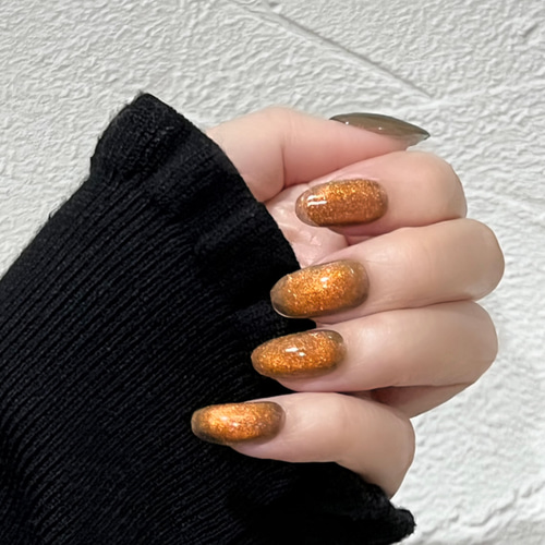 ブラウンマグネット×ラメ ワンカラーネイルチップ No.1】マグネットネイル ブラウン ワンカラー ネイルチップの通販 by c