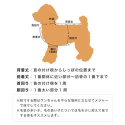 犬服　あったかニットセーター‼　カノコ柄クルーネックセーター 13枚目の画像