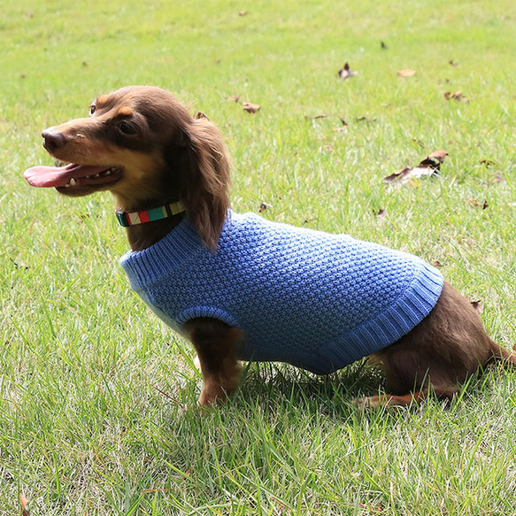犬服　あったかニットセーター‼　カノコ柄クルーネックセーター 2枚目の画像