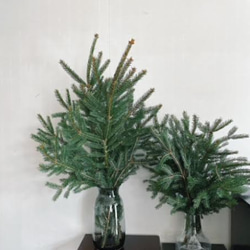 枝ツリー　天然　モミの木　　クリスマスツリー 　約９０ｃｍ 5枚目の画像