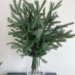 枝ツリー　天然　モミの木　　クリスマスツリー 　約９０ｃｍ 4枚目の画像