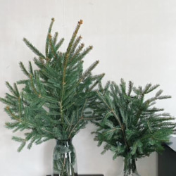 枝ツリー　天然　モミの木　　クリスマスツリー 　約９０ｃｍ 6枚目の画像