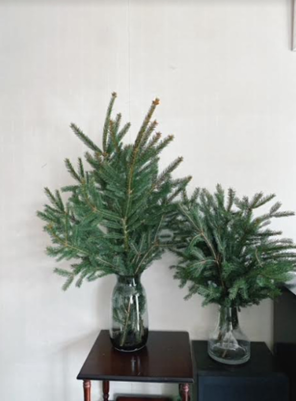 枝ツリー　天然　モミの木　　クリスマスツリー 1枚目の画像