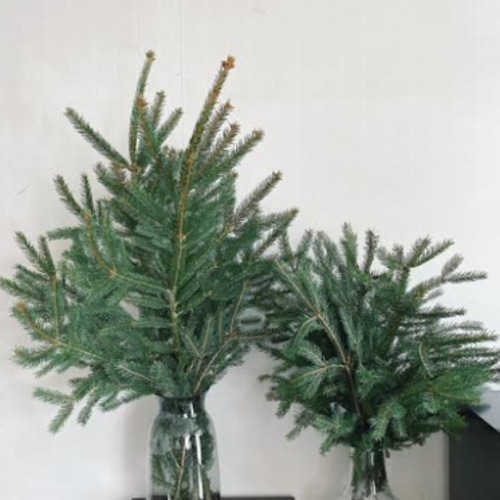 枝ツリー 天然 モミの木 50cm,40cm,30cm クリスマスツリーに