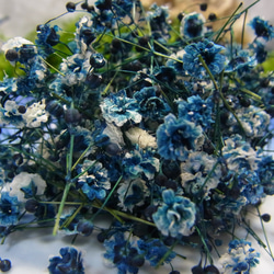 花材 ドライフラワーかすみ草　コバルトブルー 3枚目の画像