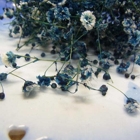 花材 ドライフラワーかすみ草　コバルトブルー 5枚目の画像