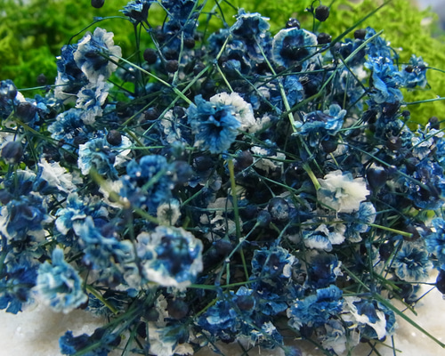 835e4386bb41e2e83d1c0388aeb929