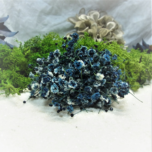花材 ドライフラワーかすみ草　コバルトブルー 4枚目の画像