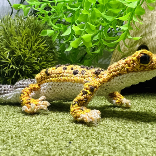 あみぐるみレオパ ヒョウモントカゲモドキ レオパードゲッコ ハイ