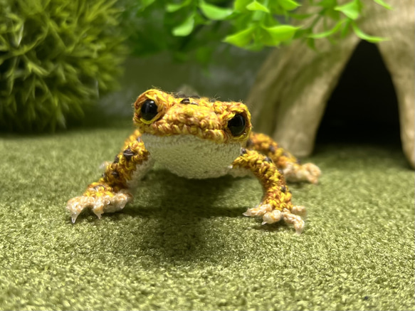 レオパ ヒョウモントカゲモドキ 爬虫類ケージ 置き換わる