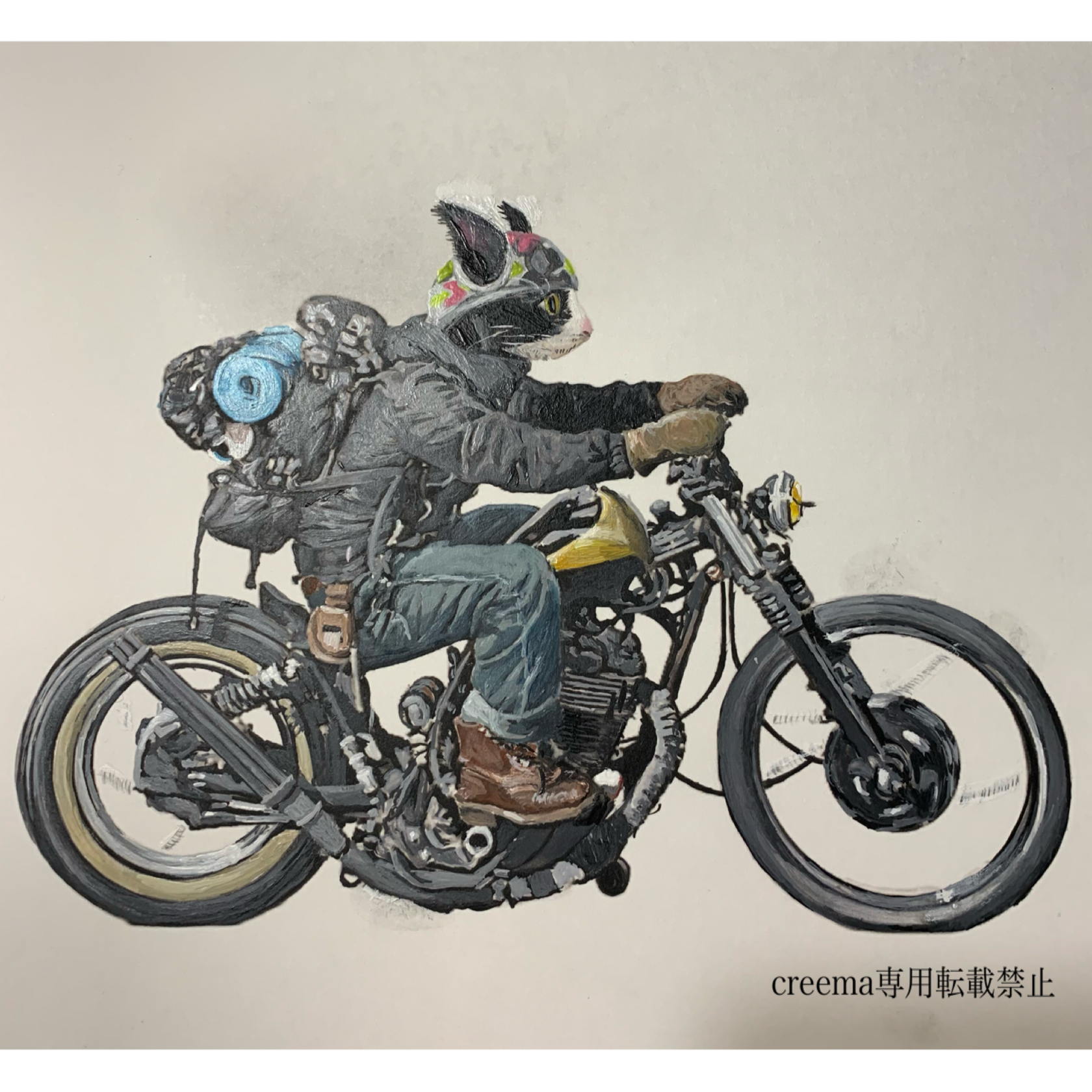 色鉛筆画 120 A4.ハチワレ猫 色鉛筆画 120 A4.ハチワレ猫