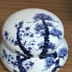 レタスの皿 葉っぱの絵取り皿 三枚セット 中皿 私の食器棚 通販