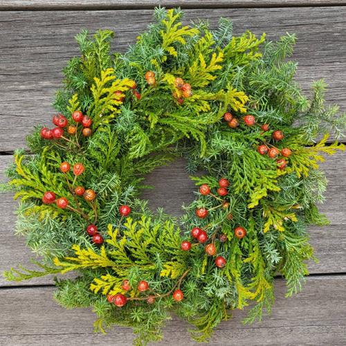 黄金ヒバと野バラのクリスマスリース リース Cosmos:) 通販 15092339