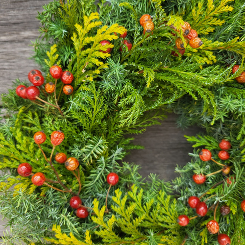 黄金水流ヒバ　クリスマスリース 黄金水流ヒバ クリスマスリース