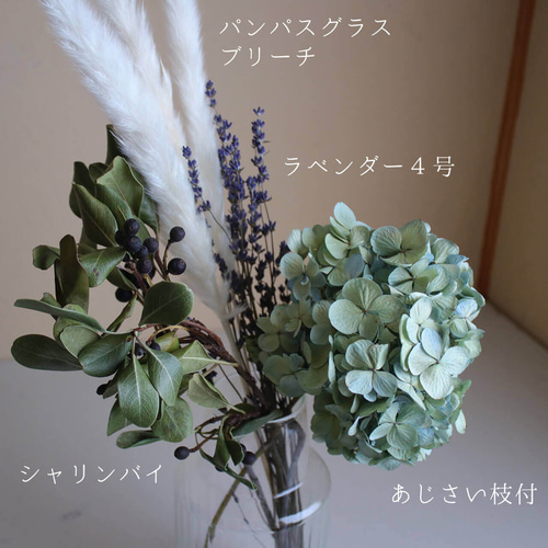 新品 ソフトあじさい彩 ラベンダー×クリアグリーン TOKA 心細