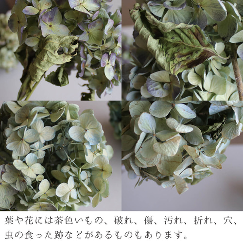 めい＆かいママ 様 確認用 ブルーグリーン 紫陽花と薔薇 ドライ