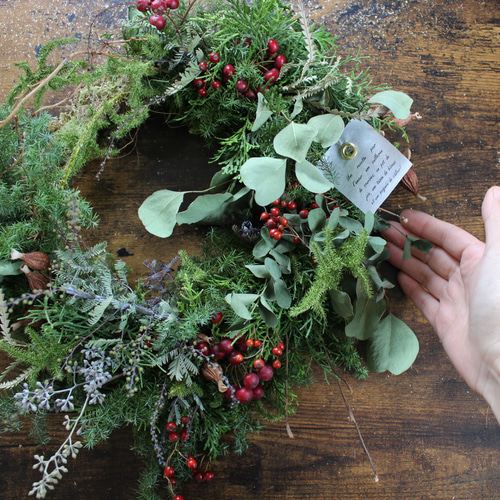 moss] コケの付いたグリーンリース クリスマス リース ドライフラワー