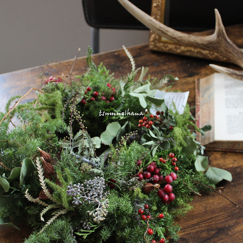 moss] コケの付いたグリーンリース クリスマス リース ドライフラワー