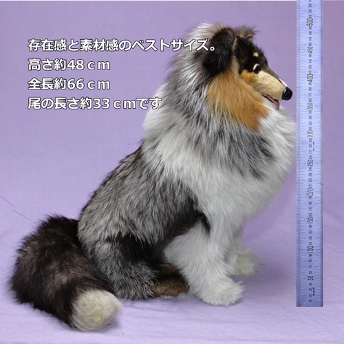 世界でたった一体の シェルティー(リアルファーのぬいぐるみ) 犬 世界でたった一体の シェルティー(リアルファーのぬいぐるみ) 犬