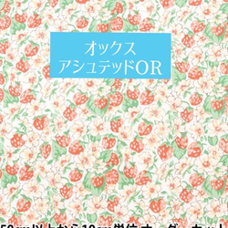 【新作】ガバッと開く カラーが選べる♪インド刺繍とヌバック調　がま口ペンケース　メガネケースにも【受注生産】 11枚目の画像