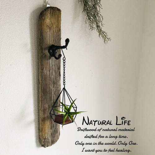 流木のお洒落な壁掛けランタン⁎✧✧壁掛けフック✧ナチュラル