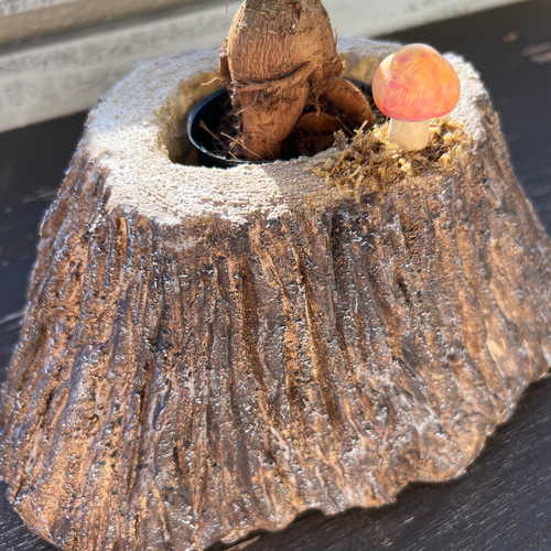 切り株みたいな植木鉢(オレンジきのこ) 一輪挿し・花瓶・花器