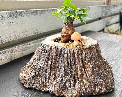 一輪挿し×2点 ヒノキの切り株×1点 ひのきキューブ – 一輪挿し – フラワーベース | iichi 日々の暮らしを