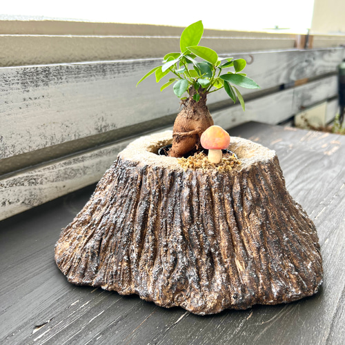 木製　切り株　植木鉢　樹脂製　アンティーク 切り株 植木鉢 樹脂製 アンティーク