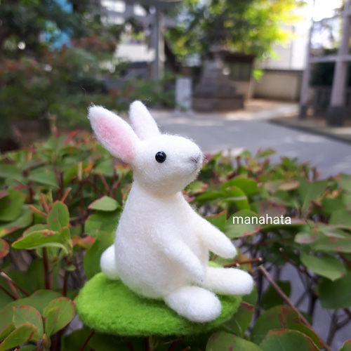 白うさぎ 羊毛フェルト manahata 通販 15096832|Creema(クリーマ) 白うさぎ 羊毛フェルト manahata 通販 15096832|Creema(クリーマ)