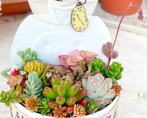 1668caf14f89cd8413427666dc55e3