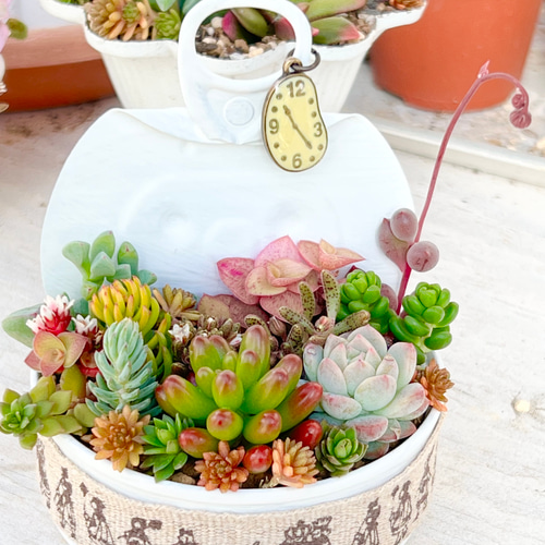 リメ缶寄せ植え♡アリスの時計＊多肉植物＊リメ缶ごと 多肉植物