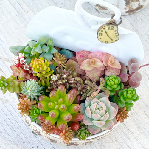 リメ缶寄せ植え♡アリスの時計*多肉植物*リメ缶ごと 多肉植物 リメ缶寄せ植え♡アリスの時計*多肉植物*リメ缶ごと 多肉植物